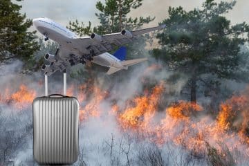 Travel cancellation options in the event of a forest fire