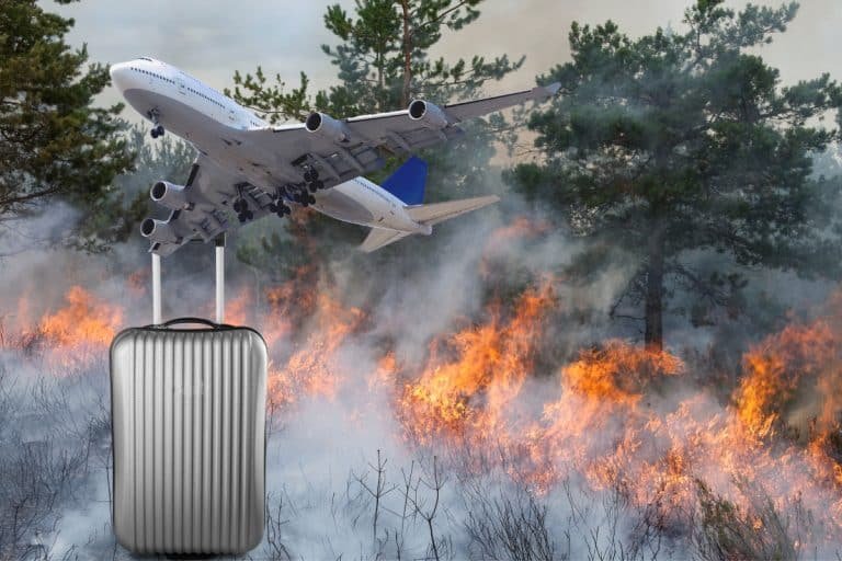 Reiserücktrittsmöglichkeiten bei waldbrand