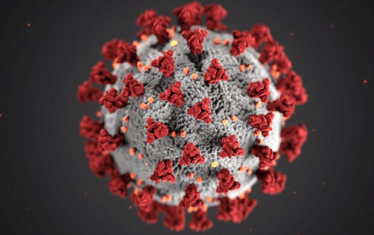 corona virus reise oder flug stornieren